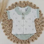 Conjunto Ranita Fantasía Verde